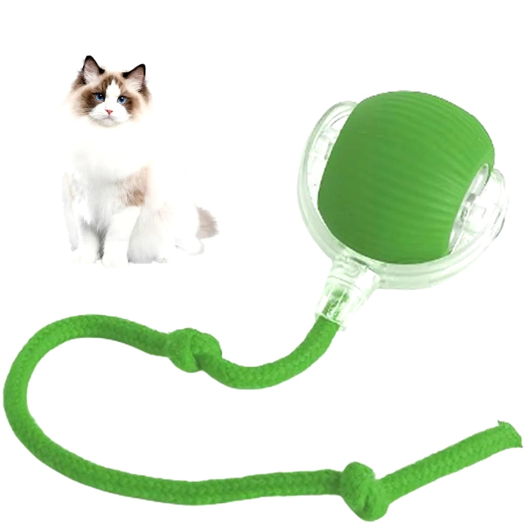 PawBall™ — Smart Interactive Rolling Ball for Cats & Dogs