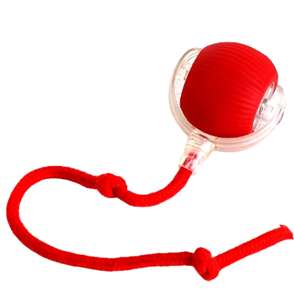 PawBall™ — Smart Interactive Rolling Ball for Cats & Dogs