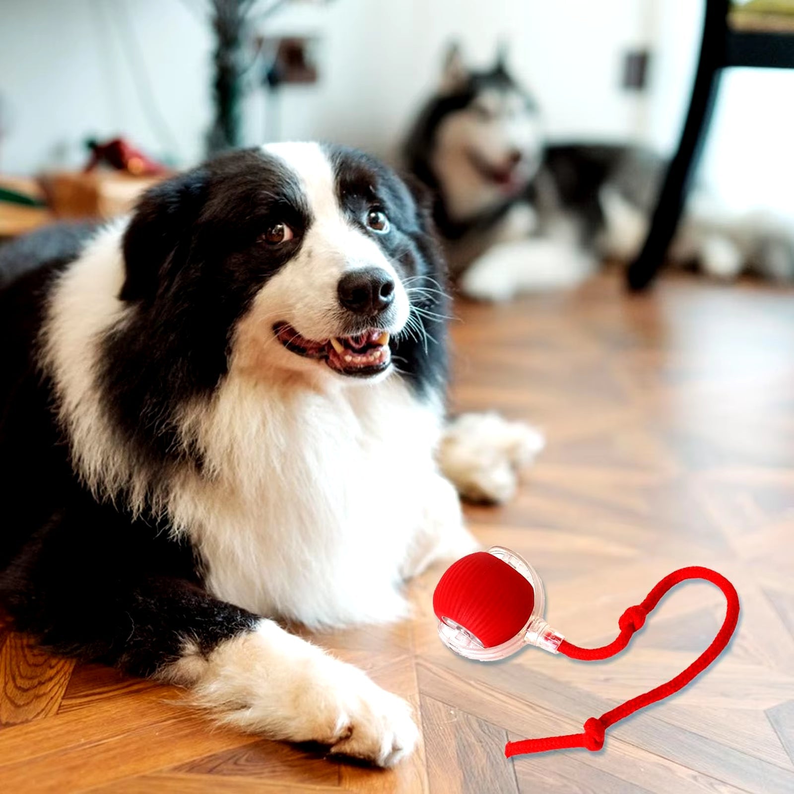PawBall™ — Smart Interactive Rolling Ball for Cats & Dogs