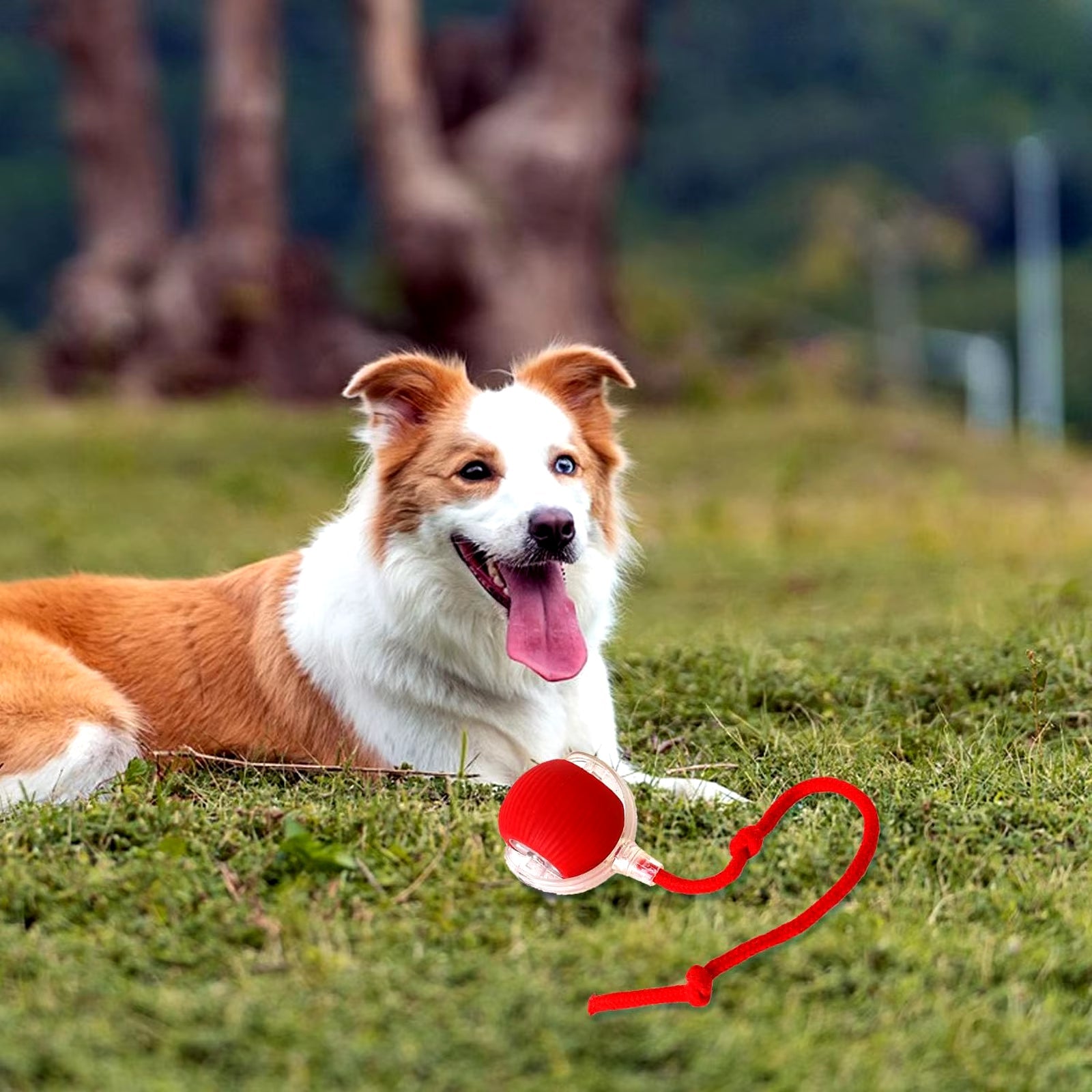 PawBall™ — Smart Interactive Rolling Ball for Cats & Dogs