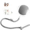 PawBall™ — Smart Interactive Rolling Ball for Cats & Dogs