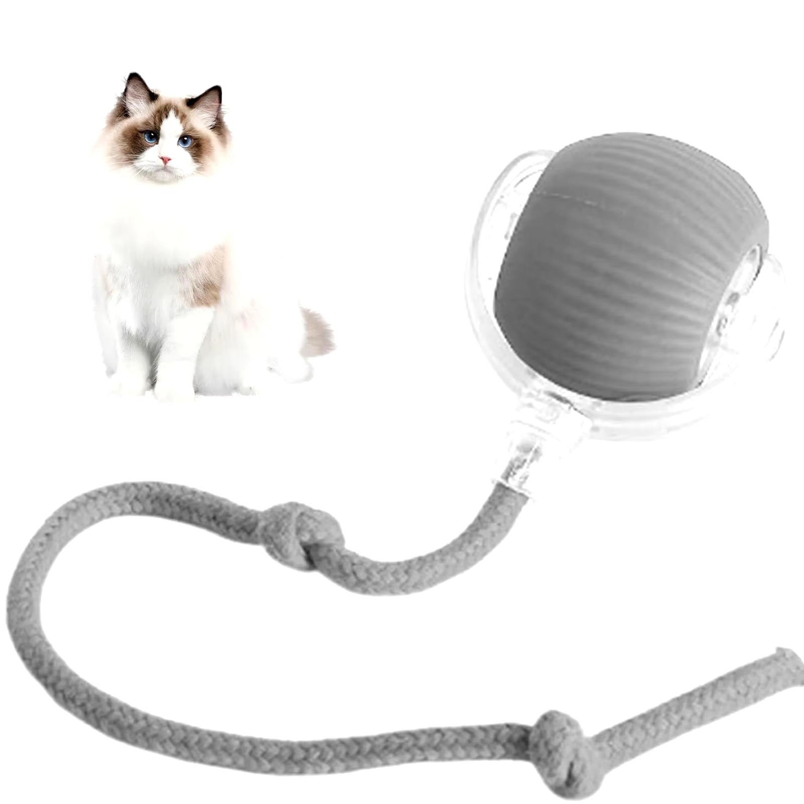 PawBall™ — Smart Interactive Rolling Ball for Cats & Dogs
